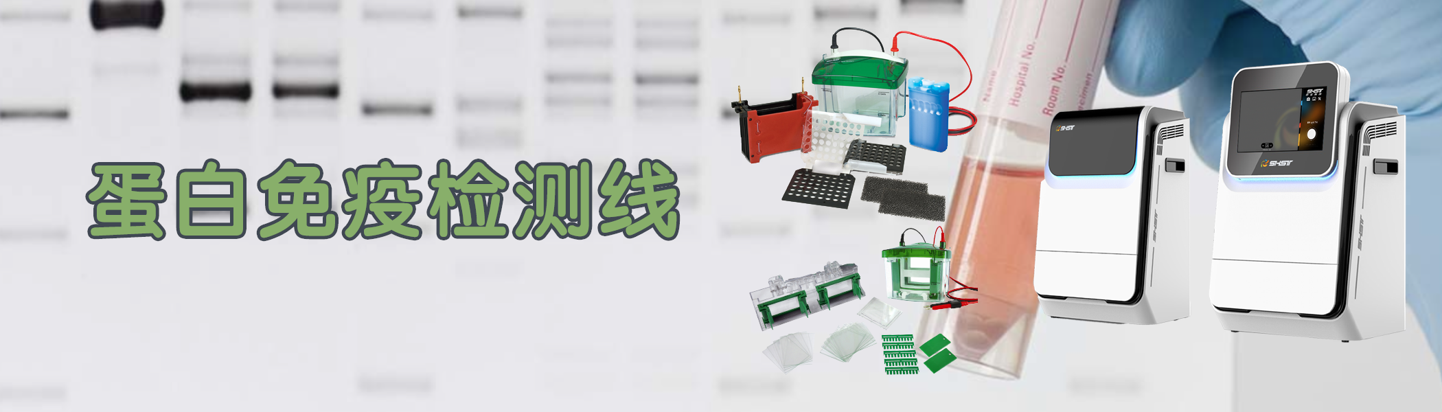 蛋白免疫印迹产品线